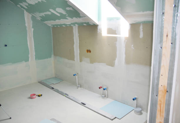 Trusted Bridgeport, IL Mold Removal Experts