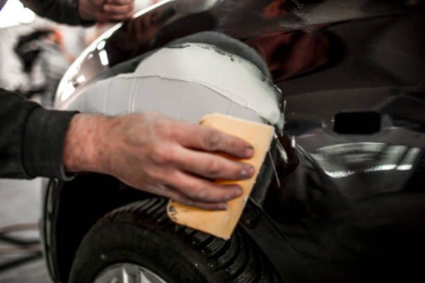Best Forensic Mold Investigation  in Bridgeport, IL