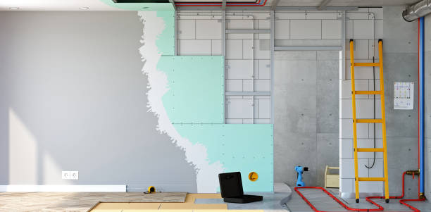 Best Mold Remediation for Healthcare Facilities  in Bridgeport, IL