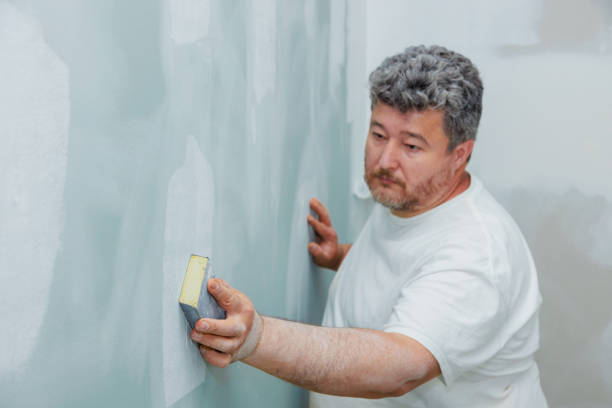 Best HVAC Mold Inspection and Cleaning  in Bridgeport, IL
