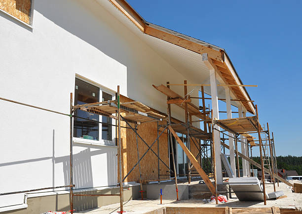 Best Commercial Mold Inspection  in Bridgeport, IL