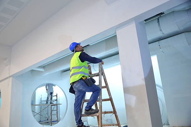 Best Mold Documentation for Insurance Claims  in Bridgeport, IL