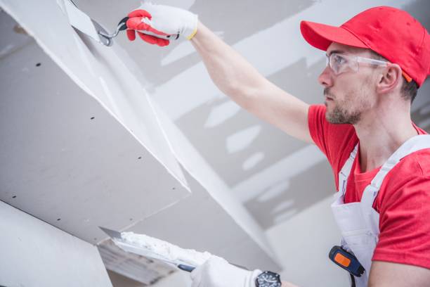 Best Post-Remediation Verification Testing  in Bridgeport, IL